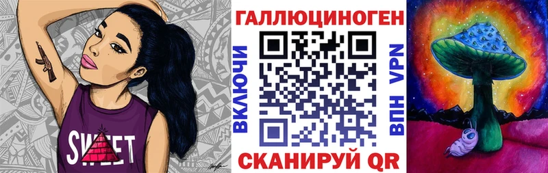 Псилоцибиновые грибы Psilocybine cubensis Лихославль